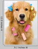 Happy Golden Retriever Getting Groomed Wall Decal