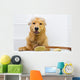 Happy Dog Bath Tub