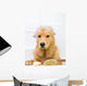Cute dog unhappy about bath time Wall Decal