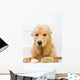 Cute dog unhappy about bath time Wall Decal
