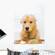 Cute dog unhappy about bath time Wall Decal