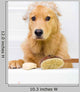 Cute dog unhappy about bath time Wall Decal
