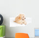 Apricot Poodle Puppy Portrait Wall Decal