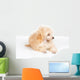 Apricot Poodle Puppy Portrait Wall Decal