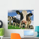 curious cow Wall Mural