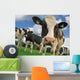 curious cow Wall Mural