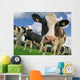curious cow Wall Mural