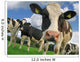 curious cow Wall Mural
