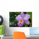 Orchid Wall Mural