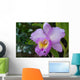 Orchid Wall Mural