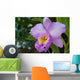 Orchid Wall Mural