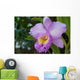 Orchid Wall Mural