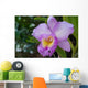 Orchid Wall Mural