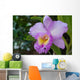 Orchid Wall Mural