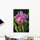 Orchid Wall Mural