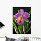 Orchid Wall Mural