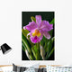 Orchid Wall Mural