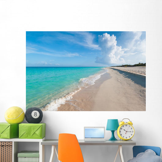 Idyllic Beach Caribbean Sea