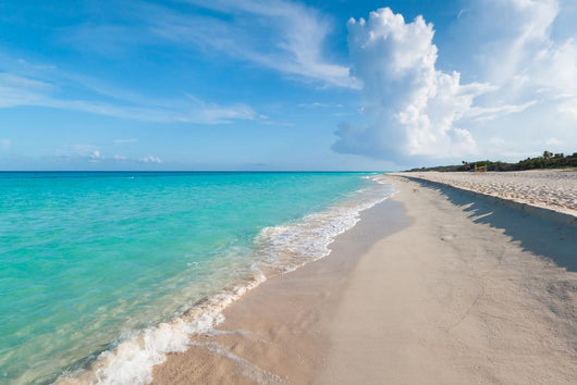 Idyllic Beach Caribbean Sea