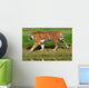 Tiger Wall Mural
