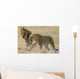 lions Wall Mural