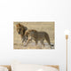 lions Wall Mural