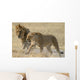 lions Wall Mural