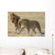 lions Wall Mural