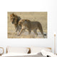 lions Wall Mural