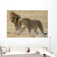 lions Wall Mural