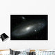 Andromeda Galaxy Wall Mural