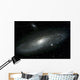 Andromeda Galaxy Wall Mural
