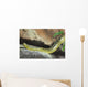 Yellow Anaconda [ Eunectes notaeus ] on the rock. Wall Mural