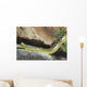 Yellow Anaconda [ Eunectes notaeus ] on the rock. Wall Mural