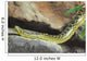 Yellow Anaconda [ Eunectes notaeus ] on the rock. Wall Mural