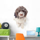 Dog Snow Wall Decal