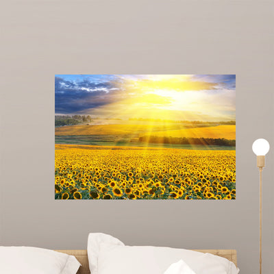 Sunset over Field Wall Mural shown on a wall