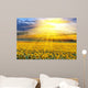 Sunset over the field Wall Mural