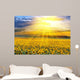 Sunset over the field Wall Mural