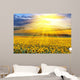 Sunset over the field Wall Mural