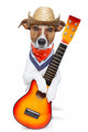 country dog ​​with guitar and cowboy hat Wall Decal
