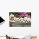 Labradoodle Pupies Wall Mural