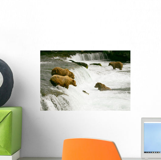Grizzly Bears Fishing for Salmon Wall Mural