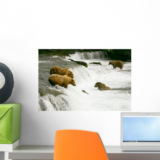 Grizzly Bears Fishing for Salmon Wall Mural