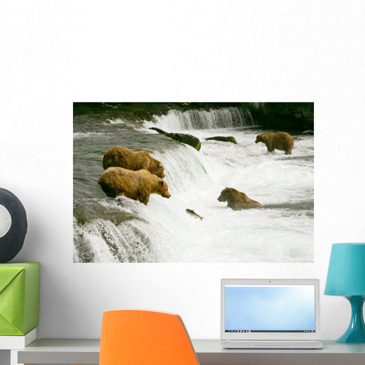Grizzly Bears Fishing for Salmon Wall Mural