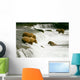 Grizzly Bears Fishing for Salmon Wall Mural