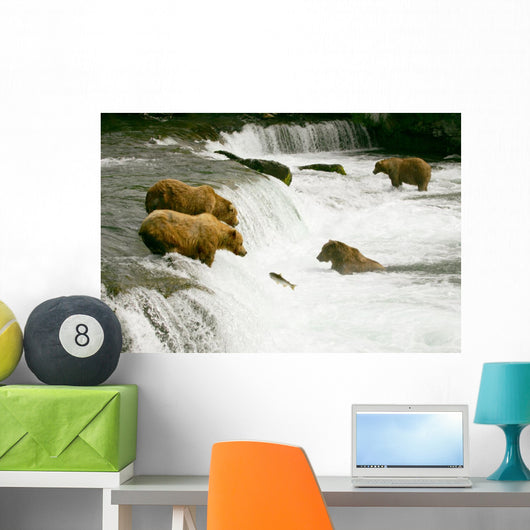 Grizzly Bears Fishing for Salmon Wall Mural