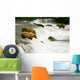 Grizzly Bears Fishing for Salmon Wall Mural