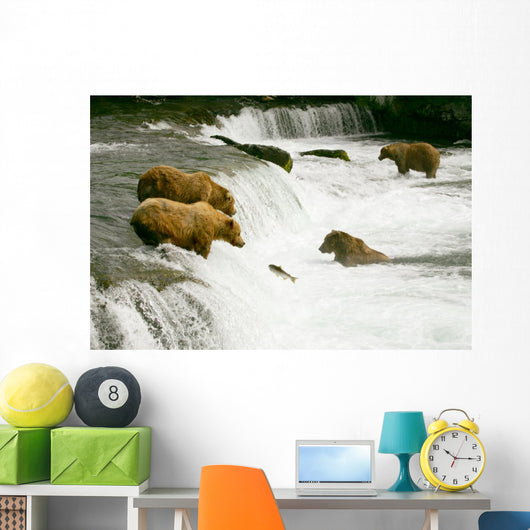 Grizzly Bears Fishing for Salmon Wall Mural