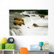 Grizzly Bears Fishing for Salmon Wall Mural